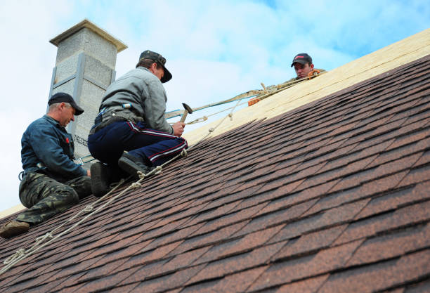 Best Storm Damage Roof Repair  in Lehighton, PA